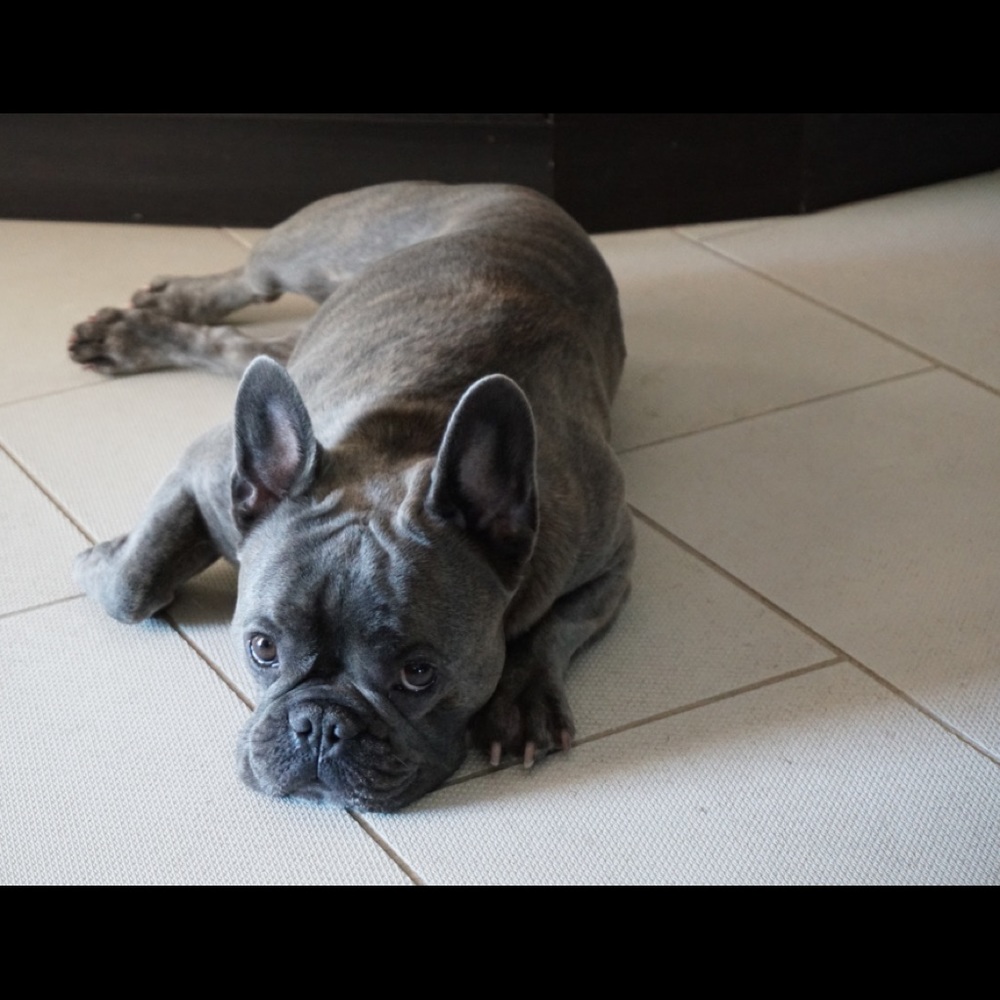 Meet your Posher, Michele